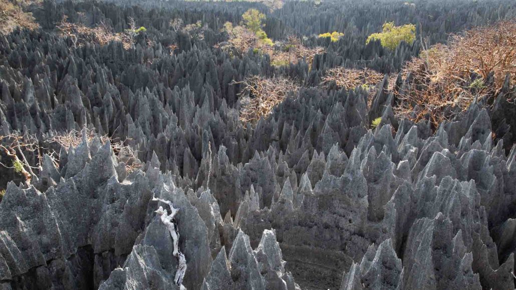  Il Viaggiatore Magazine - Ankarana National Park, Madagascar