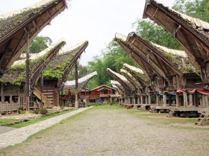 Il Viaggiatore Magazine - Case Toraja, Indonesia