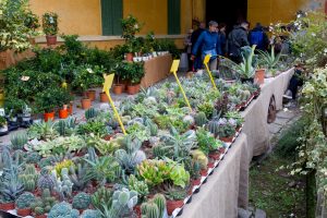 Il Viaggiatore Magazine - Villa Pisani Bolognesi Scalabrin - Vescovana, Padova