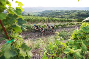 Il Viaggiatore Magazine - Granfondo KASK Soave MTB - Soave, Verona - Foto GF KASK SOAVE MTB
