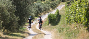 Il Viaggiatore Magazine - Granfondo KASK Soave MTB - Soave, Verona