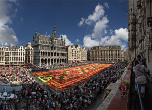 Il Viaggiatore Magazine-Tappeto di fiori-Grand Place-Bruxelles-Fiandre-Belgio