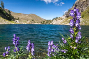 Il Viaggiatore Magazine - Alpi Orobie - Val Gerola - Lago Zancone, Sondrio