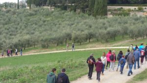 Il Viaggiatore Magazine - "Camminata tra gli olivi" - Castellina in Chianti, Siena