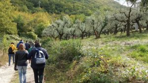 Il Viaggiatore Magazine - "Camminata tra gli olivi" - Foligno, Perugia