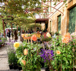 IlViaggiatoreMagazine-Villa Pisani Bolognesi Scalabrin-Vescovana-Padova-Giardinity