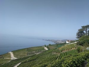 IlViaggiatoreMagazine-Tour dei Vigneti-Losanna-Svizzera