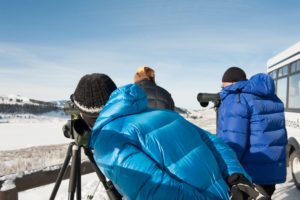 IlViaggiatoreMagazine-Osservazione dei lupi-Lamar Valley-Yellowstone National Park-USA