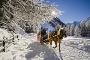 IlViaggiatoreMagazine-Carrozza-Parco Nazionale Gran Paradiso-Foto Francesco Sisti