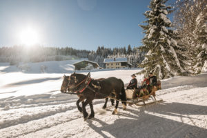 IlViaggiatoreMagazine-Passeggiata in carrozza-Salisburghese-Foto di Michael Groessinger