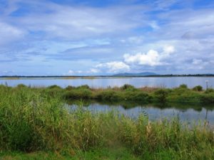 IlViaggiatoreMagazine-Laguna di Orbetello-Grosseto-Oasi WWF Orbetello