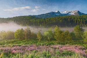 IlViaggiatoreMagazine-Riserva naturale di Pian di Gembro-Sondrio-Foto Elio Della Ferrera-Cosa vedere in Valtellina