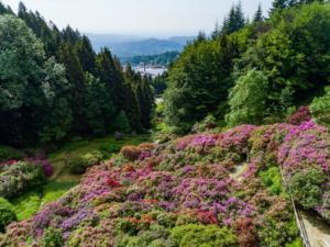 IlViaggiatoreMagazine-Conca dei Rododendri-Oasi di Zegna-Trivero-Biella