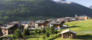 Hotel Lac Salin SPA & Mountain Resort-Casetta di fieno-Livigno-Sondrio