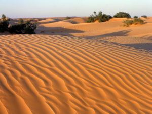 Il Viaggiatore Magazine - Tunisia, Djebel Sahara