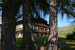 Il Viaggiatore Magazine - B&B - Ai Tre Larici, Asiago