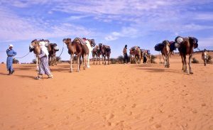 Il Viaggiatore Magazine - Carovana nel deserto, Algeria