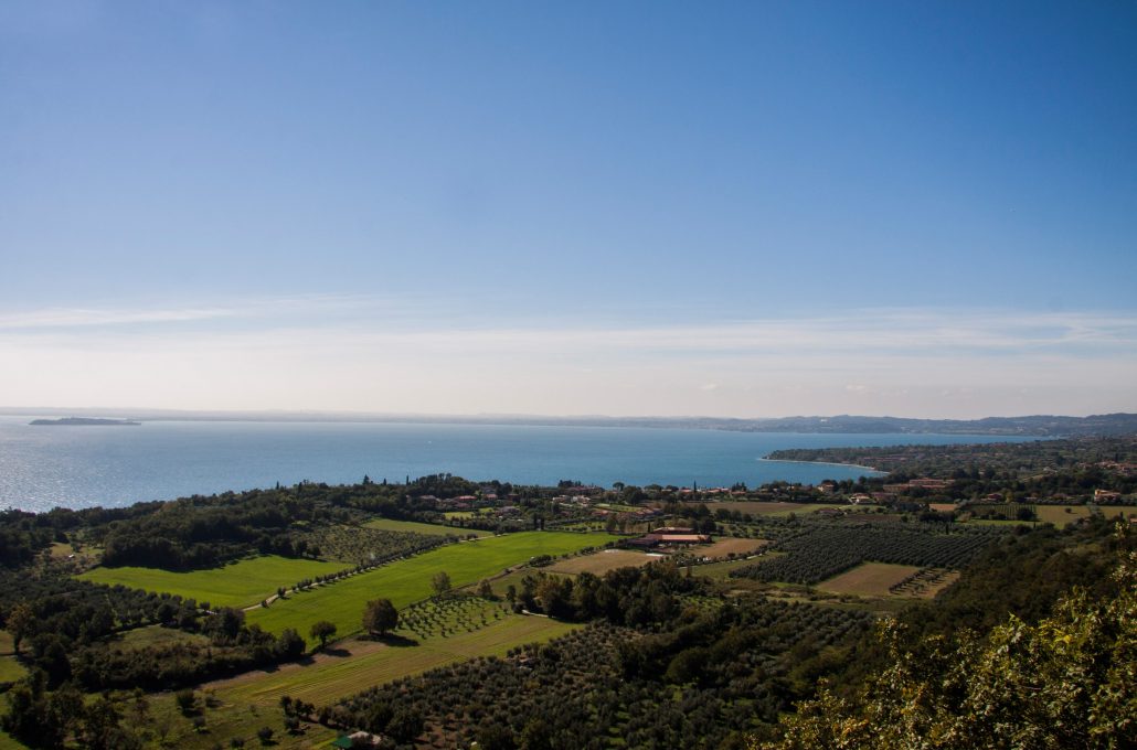 Il Viaggiatore Magazine - Vigneti - Lazise, Verona