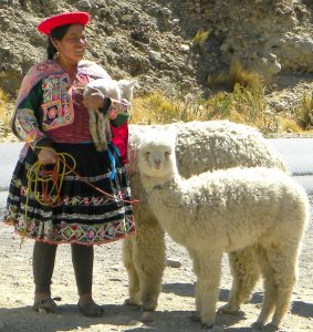 Il Viaggiatore- Pastora -Puno, Perù