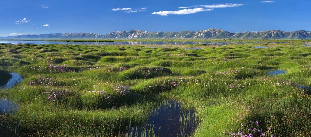 Il Viaggiatore Magazine - Lago Conag - Qinghai, Cina