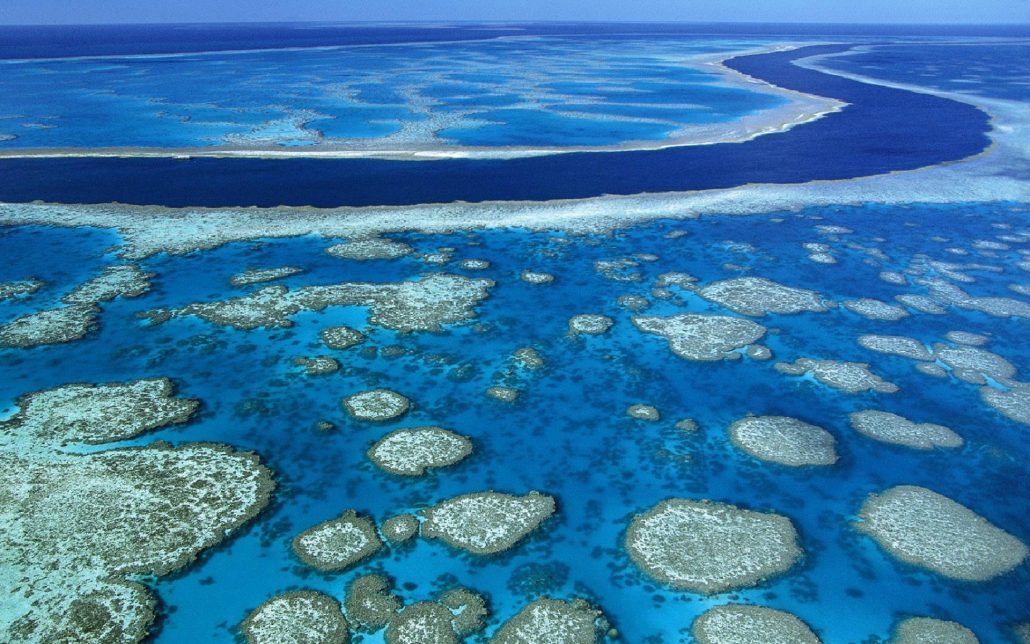 Il Viaggiatore Magazine - Grande Barriera Corallina, Australia
