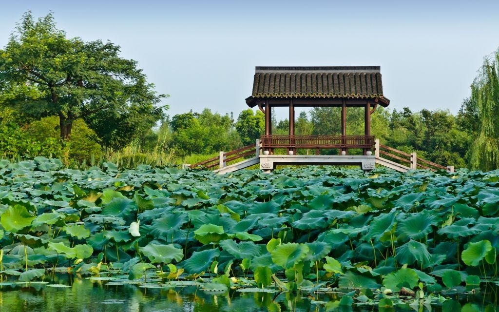 Il Viaggiatore Magazine - Xixi National Wetland Park - Hangzhou, Cina