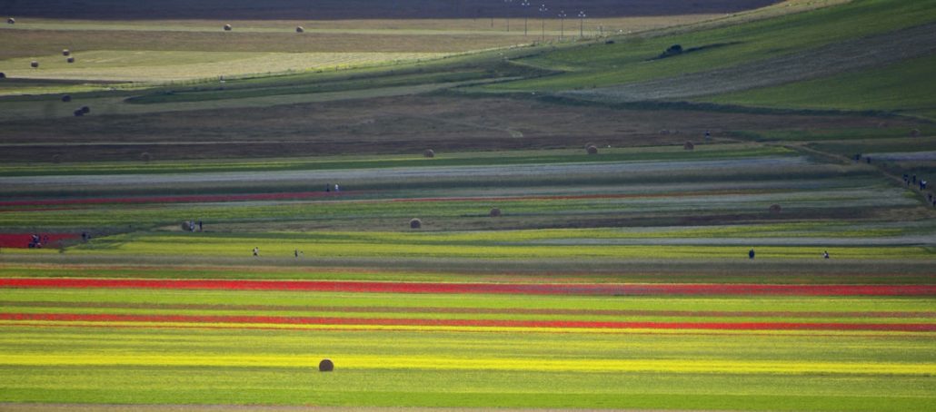 Il Viaggiatore Magazine - Piana di Castelluccio - Comune di Norcia, Perugia