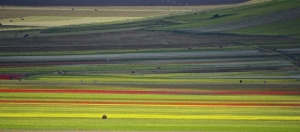 Il Viaggiatore Magazine - Piana di Castelluccio - Comune di Norcia, Perugia