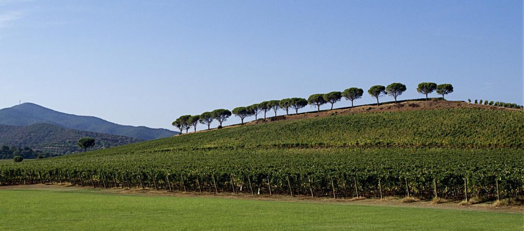 Il Viaggiatore Magazine - Panorama di Maremma Toscana, Grosseto