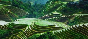 Il Viaggiatore Magazine - Terrazze di riso - Guangxi, Cina