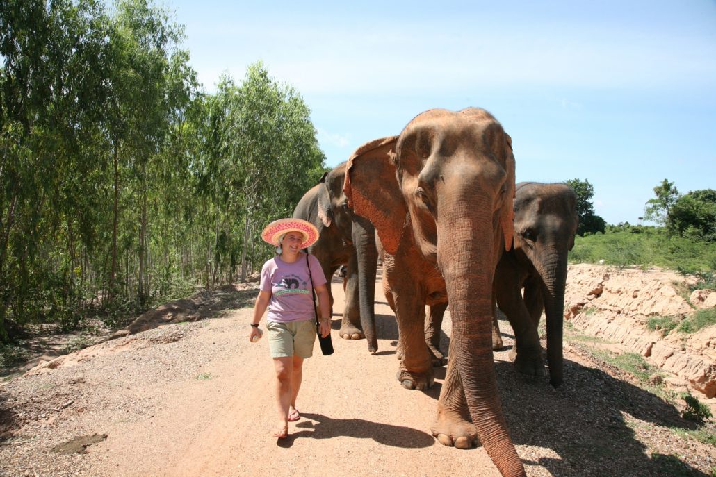 Il Viaggiatore Magazine - Elefanti in Thailandia