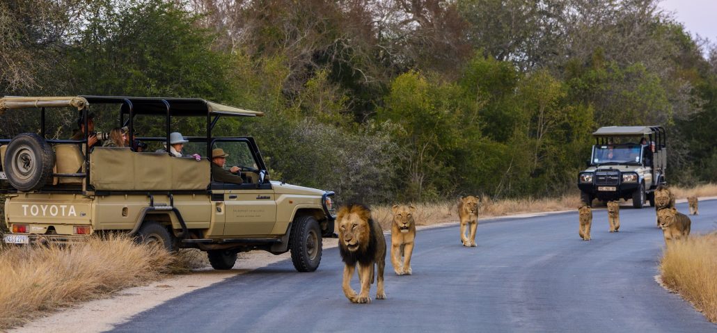 Il Viaggiatore Magazine - Greater Kruger National Park, Sudafrica