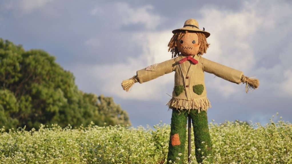 Il Viaggiatore Magazine - Spaventapasseri (Scarecrow), Irlanda