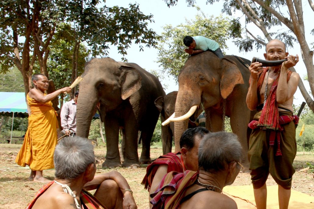 Il Viaggiatore Magazine - Elefanti in Thailandia