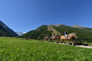 Il Viaggiatore Magazine - Tra gli sport praticabili a Cogne, passeggiate a cavallo