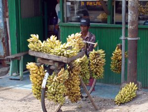 Il Viaggiatore Magazine - Banane, Indonesia