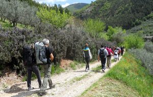 Il Viaggiatore Magazine - Festival Celtico - Taverne di Serravalle di Chienti, Macerata