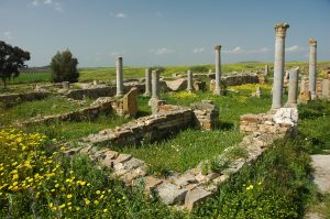 Il Viaggiatore Magazine -Bulla Regia, Tunisia 