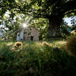 Il Viaggiatore Magazine - Passeggiata alla scoperta d ella Valle del Serchio, Lucca