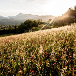 Il Viaggiatore Magazine - Passeggiata alla scoperta d ella Valle del Serchio, Lucca