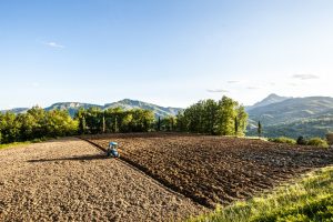 Il Viaggiatore Magazine - Passeggiata alla scoperta d ella Valle del Serchio, Lucca