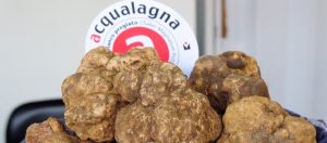 Il Viaggiatore Magazine - Tartufo bianco di Acqualagna, Pesaro e Urbino