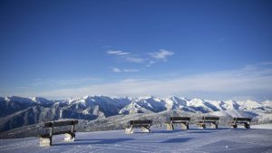 Il Viaggiatore Magazine - Masi del "Gallo Rosso", Alto Adige