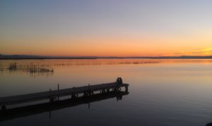 Il Viaggiatore Magazine - Parco de l'Albufera - Valencia, Spagna