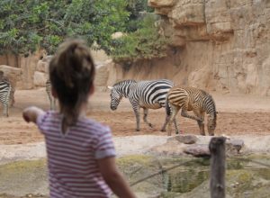 Il Viaggiatore Magazine - Bio Parc - Valencia, Spagna