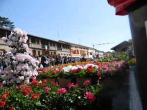 Il Viaggiatore Magazine - "Noale in Fiore" - Noale, Venezia