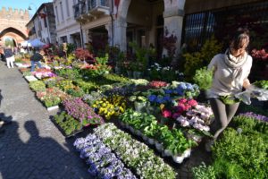 Il Viaggiatore Magazine - "Noale in Fiore" - Noale, Venezia