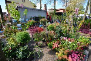 Il Viaggiatore Magazine - "Noale in Fiore" - Noale, Venezia