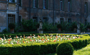 Il Viaggiatore Magazine - "Giardinity primavera" - Il Viaggiatore Magazine - Tulipani - Villa Pisani Bolognesi Scalabrin - Vescovana (PD) - Foto Silvano N. Bretini 