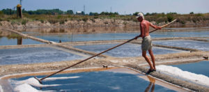 Il Viaggiatore Magazine - Saline - Cervia, Ravenna